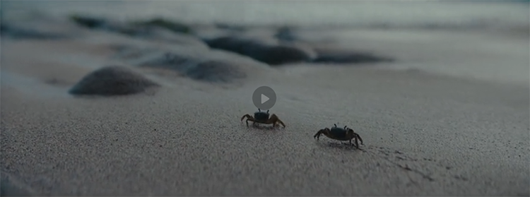 1592555442927510.png 06.png